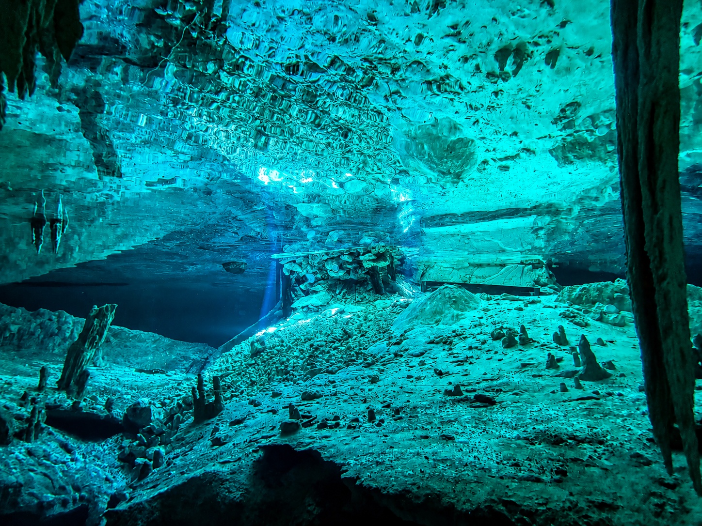 Cenote Diving Beginner Guide for Tulum Trips